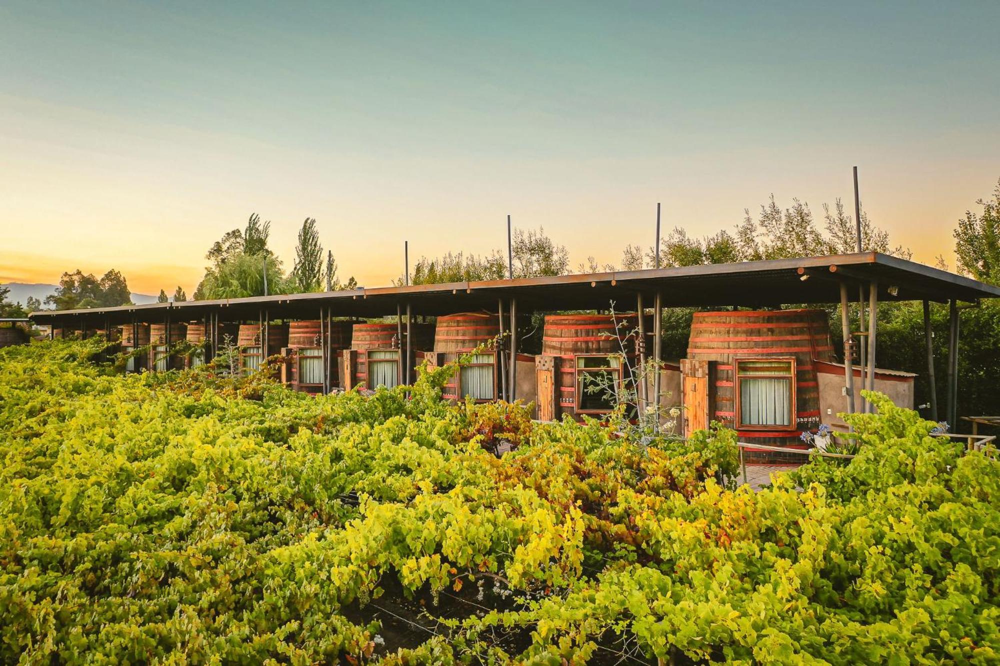 Cava Colchagua Hotel Boutique Santa Cruz Εξωτερικό φωτογραφία