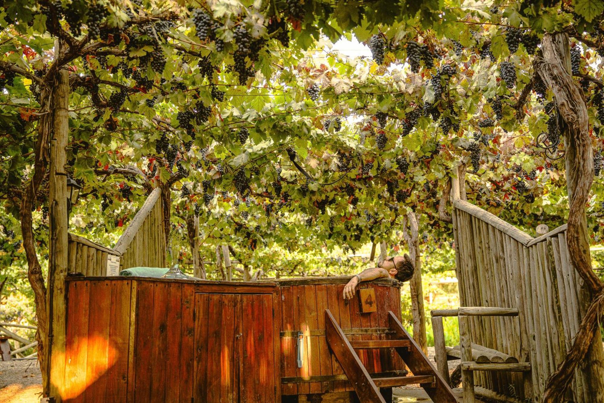 Cava Colchagua Hotel Boutique Santa Cruz Εξωτερικό φωτογραφία