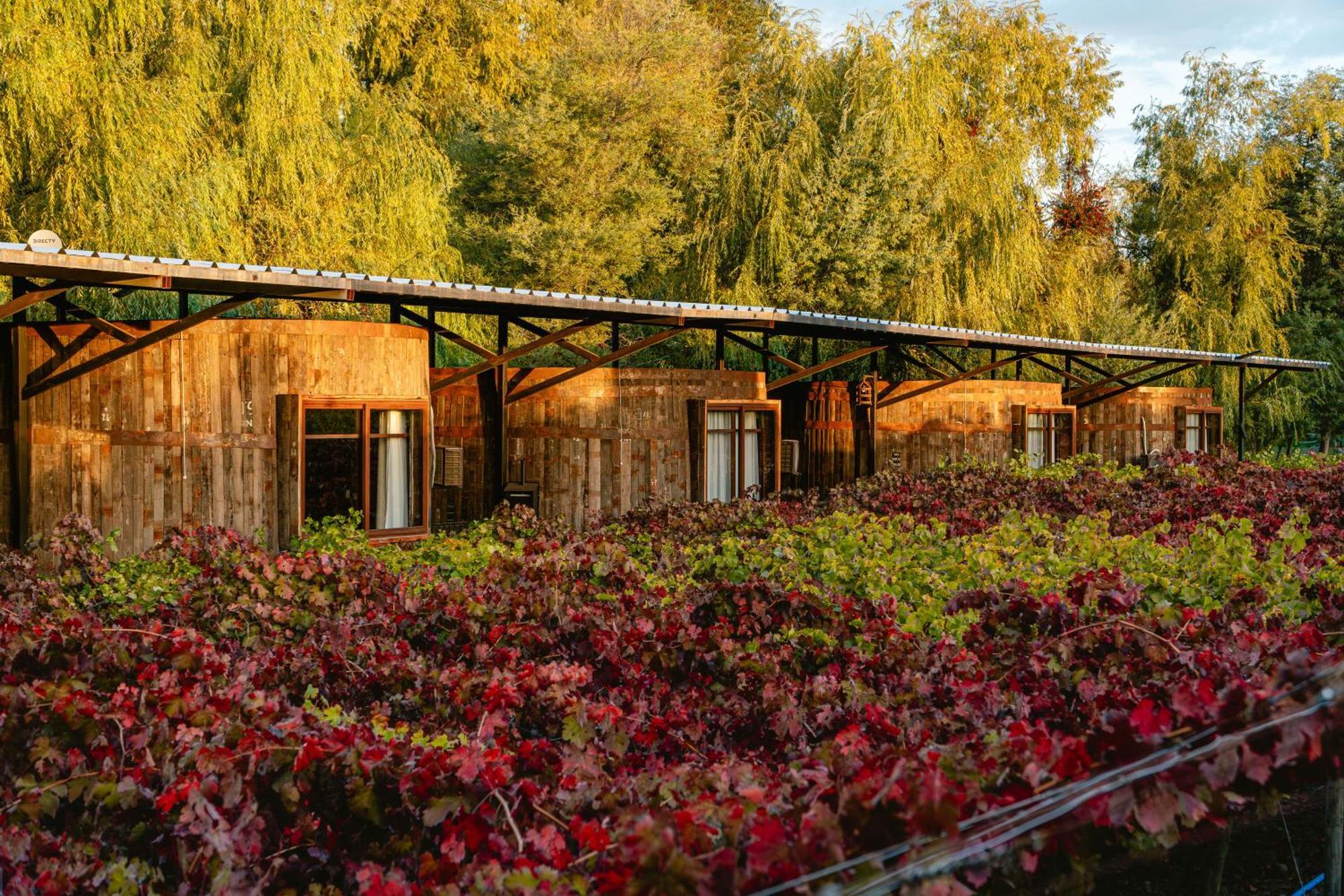 Cava Colchagua Hotel Boutique Santa Cruz Δωμάτιο φωτογραφία
