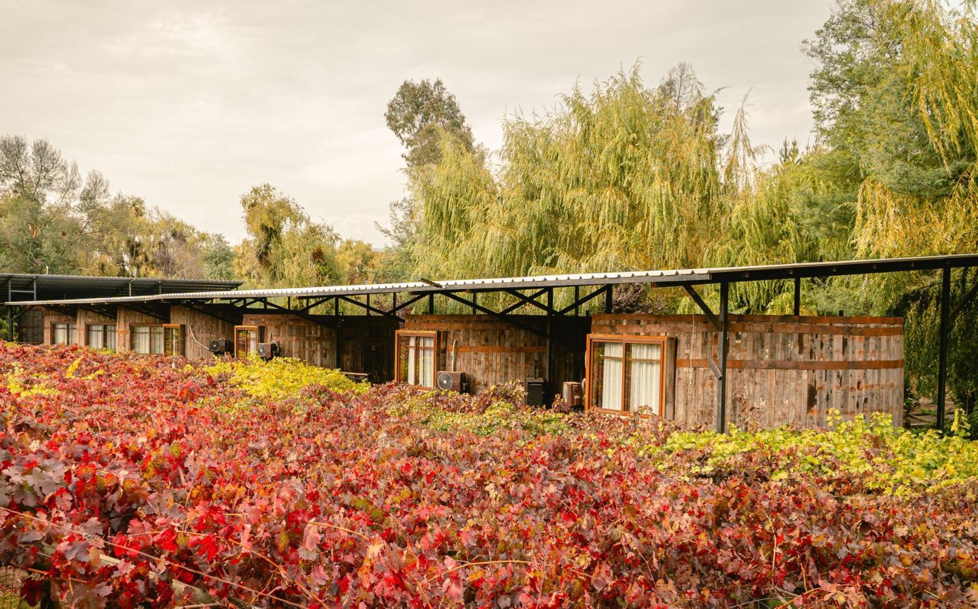Cava Colchagua Hotel Boutique Santa Cruz Εξωτερικό φωτογραφία