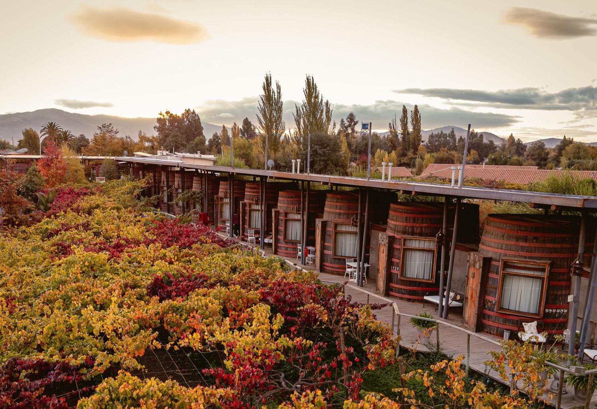 Cava Colchagua Hotel Boutique Santa Cruz Εξωτερικό φωτογραφία