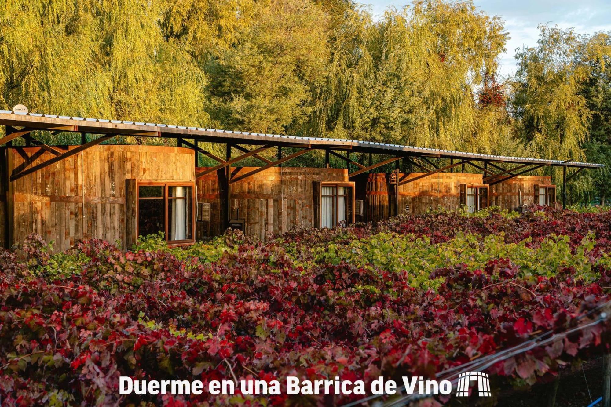 Cava Colchagua Hotel Boutique Santa Cruz Εξωτερικό φωτογραφία